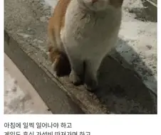 취직 한번 해봤는데 별로더라