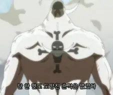 원피스)"단 한번도 도망친 흔적은 없었다"