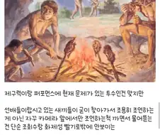 지금 야구 올드비들이 김서현 컨텐츠 찍는거에 일침놓는 팬