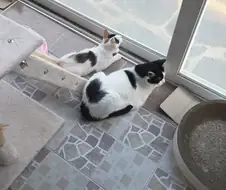 니들이 왜 이리 조용한가 했다