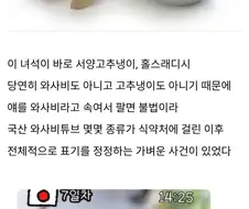 와사비가 비싼 이유.jpg