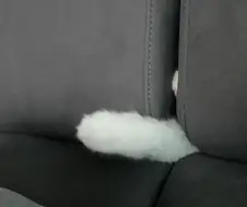 야심한 밤 좋은걸 보여주지