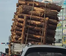 공포에 떨고있는 스파크 차주
