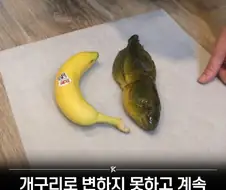 초보자 랭킹 1위.jpg