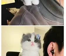 디스코드 도청범.jpg