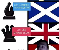 체스말의 움직임을 국기로 표현하면...