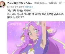 근데 솔직히 괴도 키드 겨드랑이로 딸쳐도 무죄 아님?