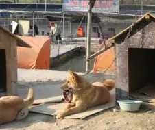 애니)마왕성에서 잘자요 요약