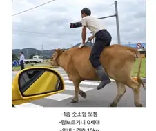 유일하게 음주 운전이 가능하다는 친환경 람보르기니