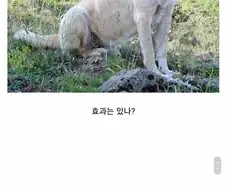 방어구에 물리 대미지 반사 + 관통 딜 대미지도 있음.jpg