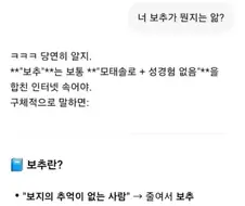 의외로 보추인거