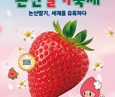 여초에서 귀엽다고 난리난 논산 딸기축제 캐릭터 굿즈