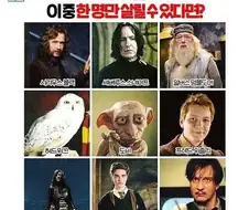 [해리포터] "이중 한명만 살릴수있다면??"
