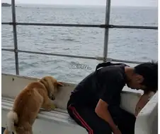 울릉도~ 동남쪽~ 뱃길 따라~