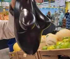 아름다운 대자연