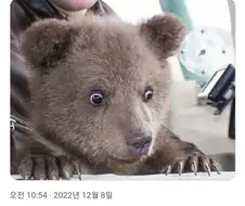 회사에서 싼 사람의 최후.jpg