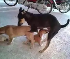 엄마 ↗ 먹고 싶다 ㅠㅠㅠ