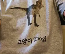 고양이 [Dog]