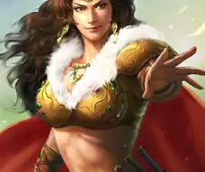 코에이 삼국지 축융부인은 이렇구나