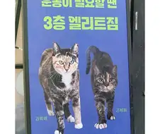 어느 헬스장 광고...