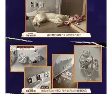 16개월 아기 개 물림 사고 결말