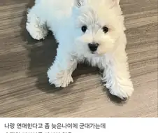 군대간 남친 못 기다리겠다는 웃대인