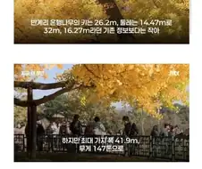 와 나이를 이렇게 많이 속였네