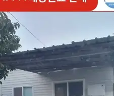 택배 배송완료 사진 레전드 갱신