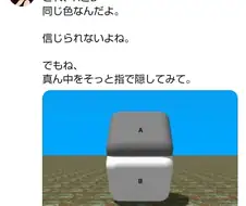 눈의 착시 A와 B는 같은 색임