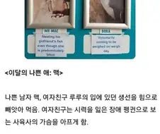 동물원 펭귄 코너에 붙어 있는 이달의 착한 애 / 나쁜 애.jpg