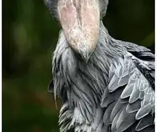 일본 만화 요약