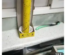 근래들어 한국에 생긴 정신병 ㄷㄷ.jpg