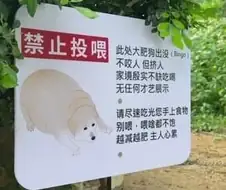 "먹이를 주지 마세요"