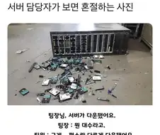 서버담당 팀장님 기절하는 사진
