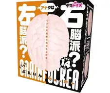 당신은 좌뇌파? 우뇌파?