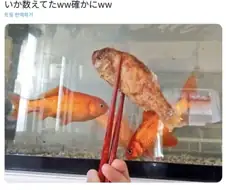 반찬을 확인하는 딸