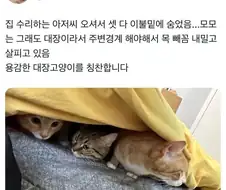 수리하는 아저씨가 왔다 jpg.