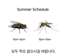 여름 인사발령