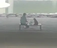 대한민국 퓰리처상 모음