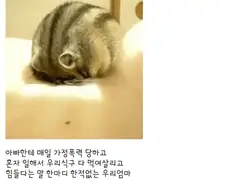주식)금양 상폐 소식 듣고 펑펑 운 사람