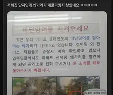 개꿀 파밍지 찾은 왜가리