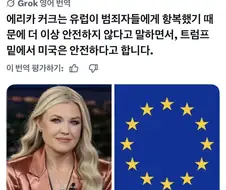유럽은 미국보다 안전하지 않다!