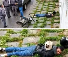 범인 체포후 완벽히 제압중인 고양이 형사.jpg