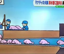 일본에서 큰 충격이었던 뉴스영상