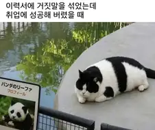 거짓 이력서로 취업에 성공해버렸다.