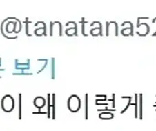 치이카와 관련 한국 댓글에 터진 열도인