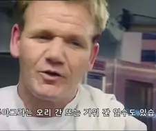 고든렘지의 쌍욕 피하는 방법