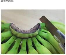 만우절에 올라온 집에서 바나나 키운 사람.jpg