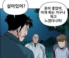 도발에 재능이 있는 주인공