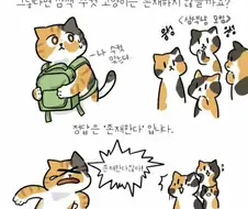 3000분의 1확률로 태어난다는 삼색 남자고양이.jpg